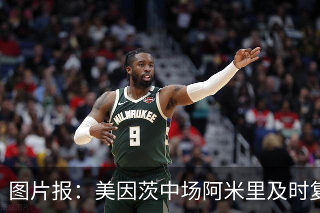 图片报：美因茨中场阿米里及时复出，将战埃尔沃斯贝格