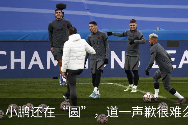 小鹏还在“圆”，道一声歉很难么