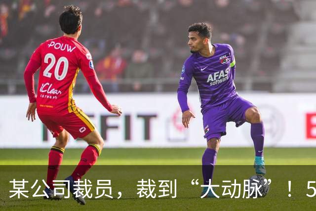 某公司裁员，裁到“大动脉”！5000 社保不肯给员工，转头得拿 8 万求员工私了！
