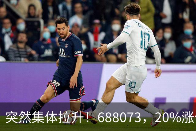 突然集体拉升！688073，20%涨停