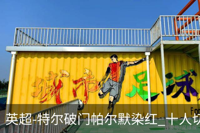 英超-特尔破门帕尔默染红 十人切尔西0-2送热刺两连胜