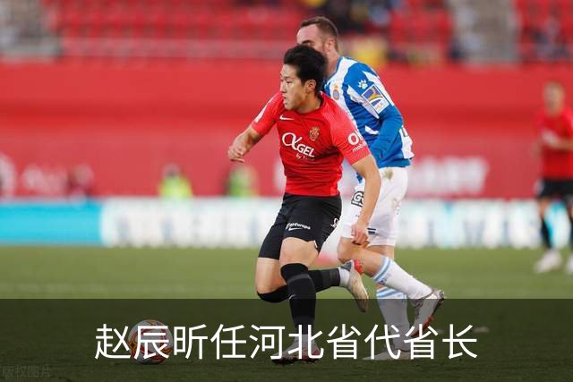 赵辰昕任河北省代省长