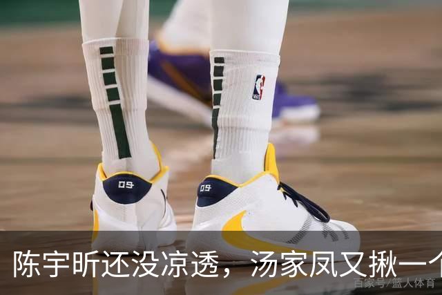 陈宇昕还没凉透，汤家凤又揪一个“精日”人员：竟然还是公司老板
