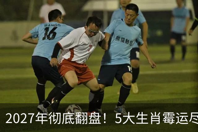 2027年彻底翻盘！5大生肖霉运尽消，事业一路腾飞，财富全面爆发