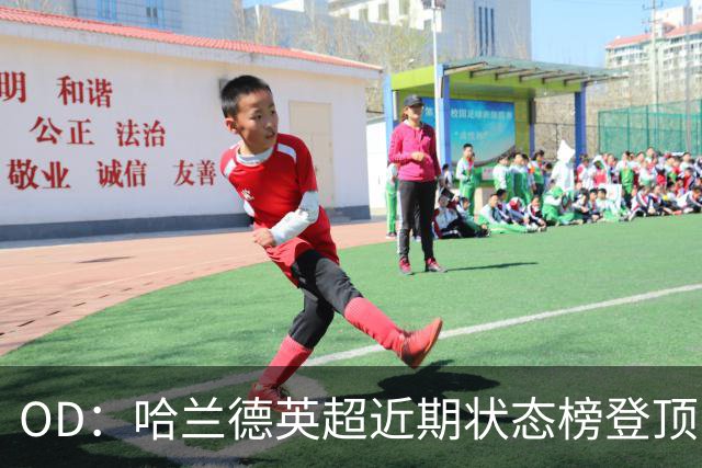 OD：哈兰德英超近期状态榜登顶，力压若昂·佩德罗