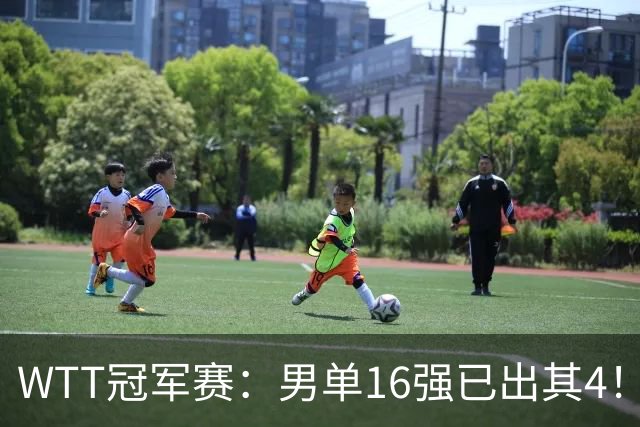 WTT冠军赛：男单16强已出其4！林昀儒险被爆冷，苦战5局艰难逆转
